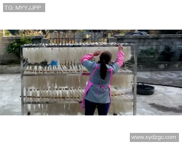 重庆乒乓球队边路渗透战术分析与成效评估的深度探讨