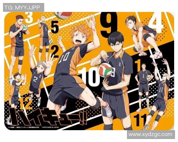 从零基础到排球高手:团队协作与技巧全面提升指南 从零基础到排球高手:团队协作与技巧全面提升指南