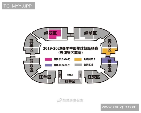 北京排球队实力分析及联赛表现评估探讨