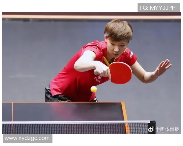 南京乒乓球队总决赛精彩点评与节奏表现分析 南京乒乓球队总决赛精彩点评与节奏表现分析