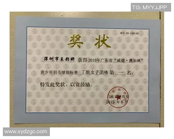 南京羽毛球队引领最新羽毛球意识TOP10榜单全面解析