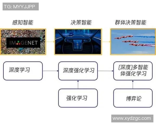 杭州乒乓球队状态分析与未来发展展望的深度探讨