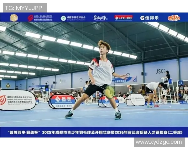 羽毛球巨献：深入分析成都羽毛球队运动员的个人技术与能力提升