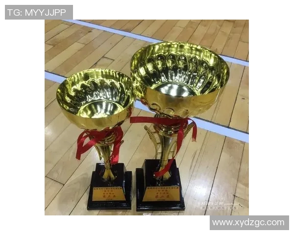 深圳羽毛球队在大满贯赛事中的耐力表现分析与点评 深圳羽毛球队在大满贯赛事中的耐力表现分析与点评