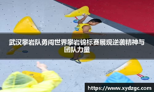 QM球盟会