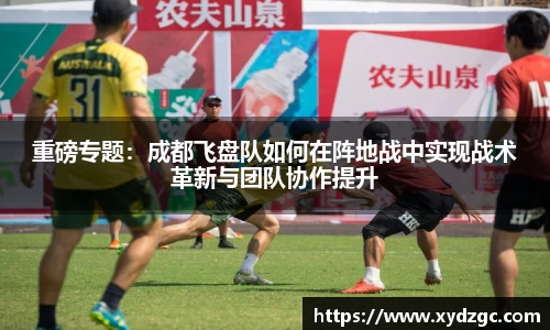 重磅专题：成都飞盘队如何在阵地战中实现战术革新与团队协作提升